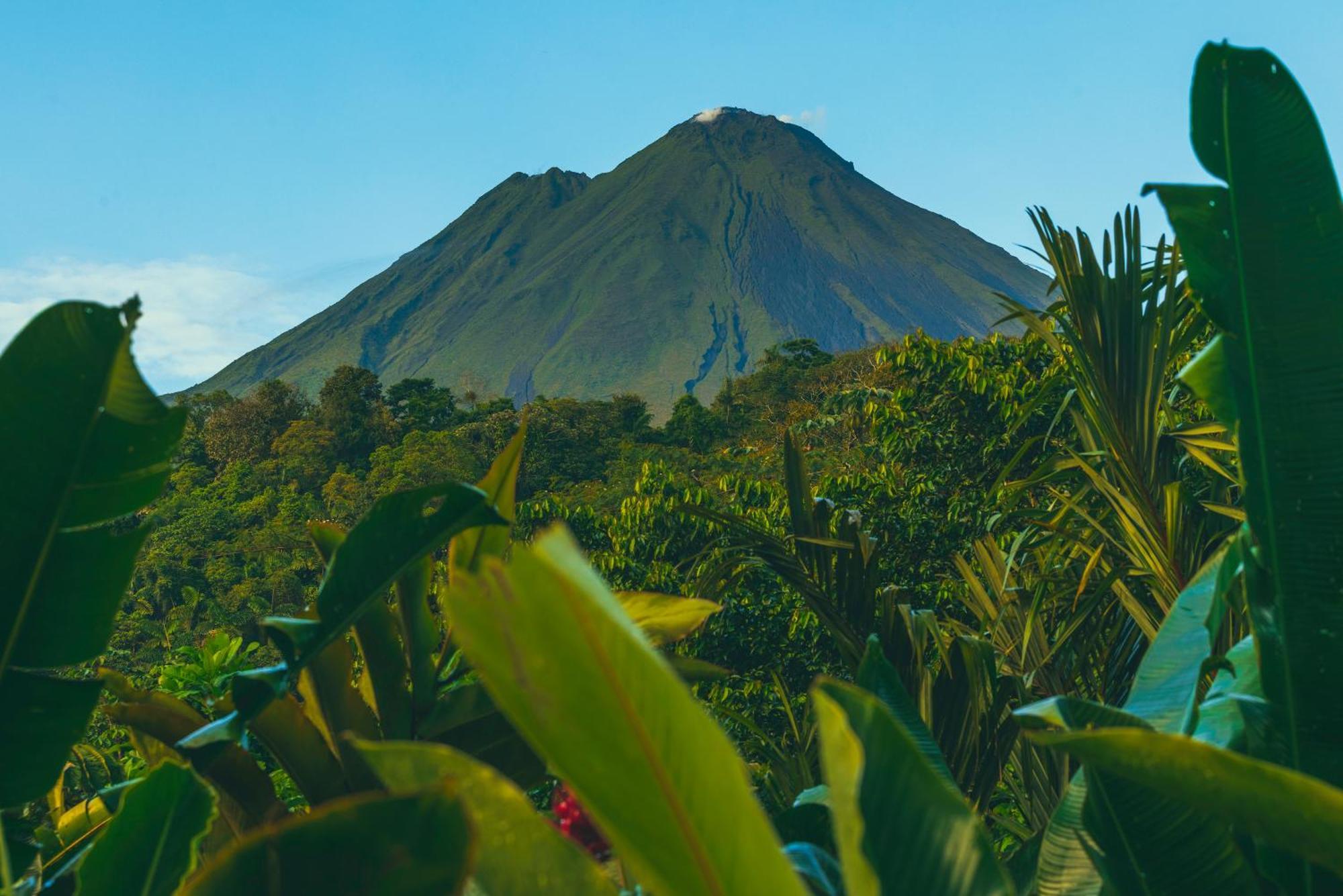 Amor Arenal Adults Friendly La Fortuna Eksteriør billede